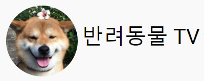 Youtuber_banyeodongmoolTV.